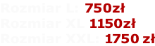 Rozmiar L: 450zł Rozmiar XL 700zł Rozmiar XXL: 1500zł