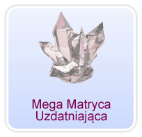 MegaMatrycaUzdatniająca