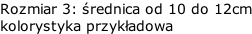 Rozmiar 3: średnica od 10 do 12cm kolorystyka przykładowa