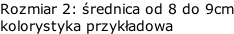 Rozmiar 2: średnica od 8 do 9cm kolorystyka przykładowa