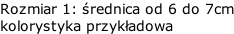 Rozmiar 1: średnica od 6 do 7cm kolorystyka przykładowa